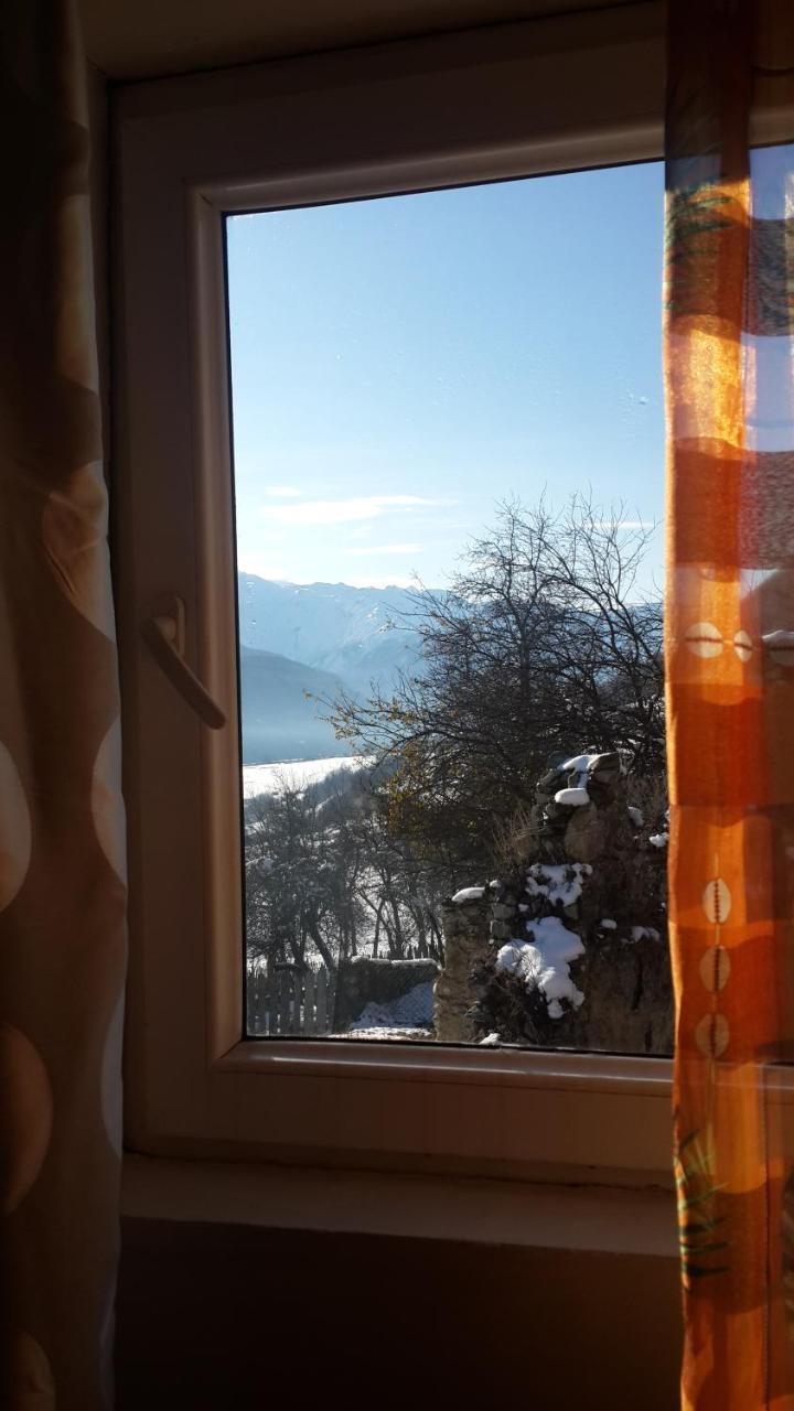 Irina Lextagi Hotel Mestia Buitenkant foto