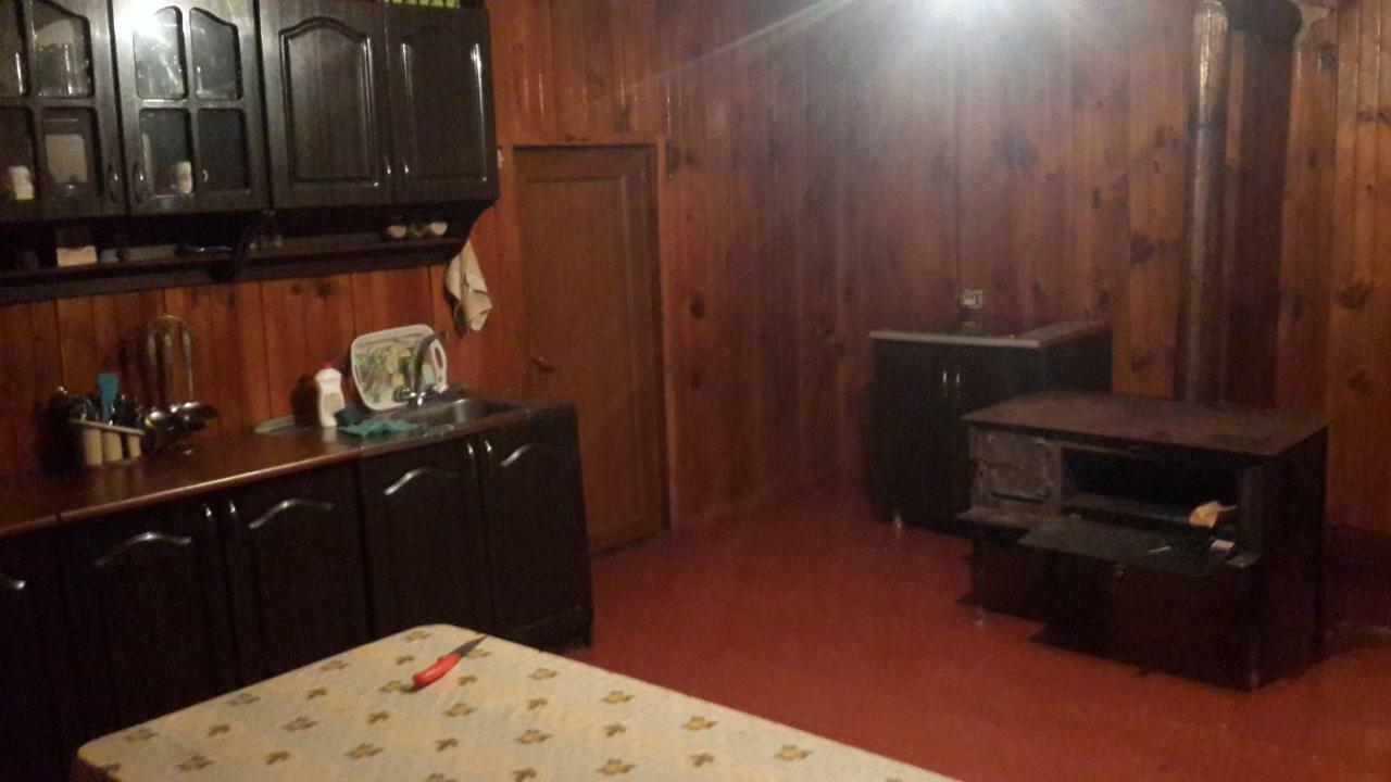 Irina Lextagi Hotel Mestia Buitenkant foto